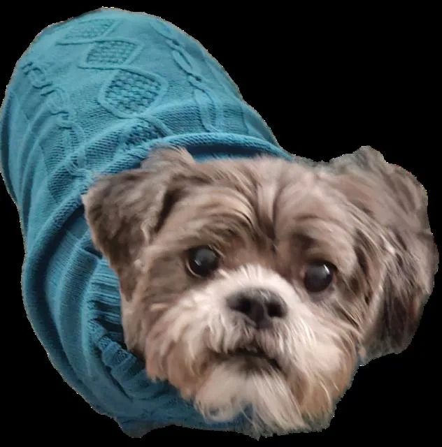 Meiko Bonded To Honey thumbnail 3