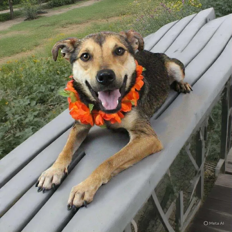 Gummy Bear thumbnail 2