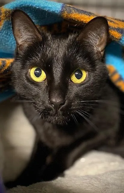 Nelly W Marnie thumbnail 2