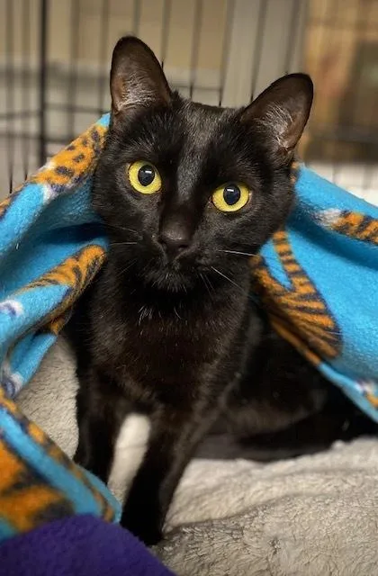 Nelly W Marnie thumbnail 3