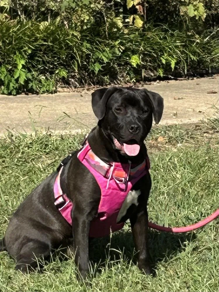 Phillipe  Beauty And