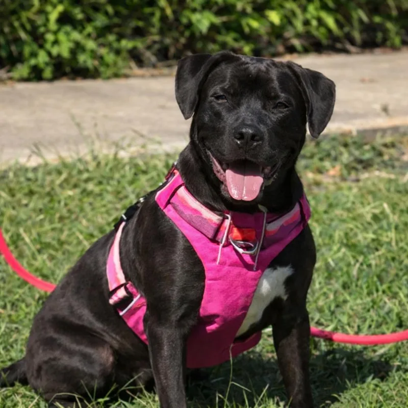 Phillipe  Beauty And thumbnail 2