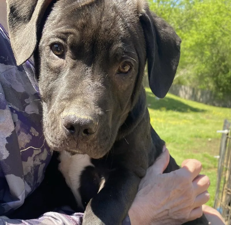 Phillipe  Beauty And thumbnail 3