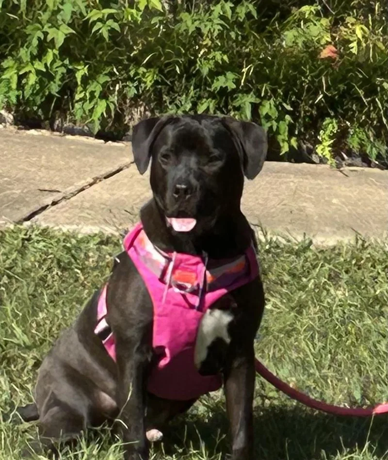 Phillipe  Beauty And thumbnail 5