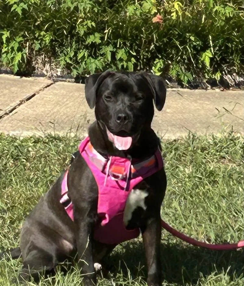 Phillipe  Beauty And thumbnail 6