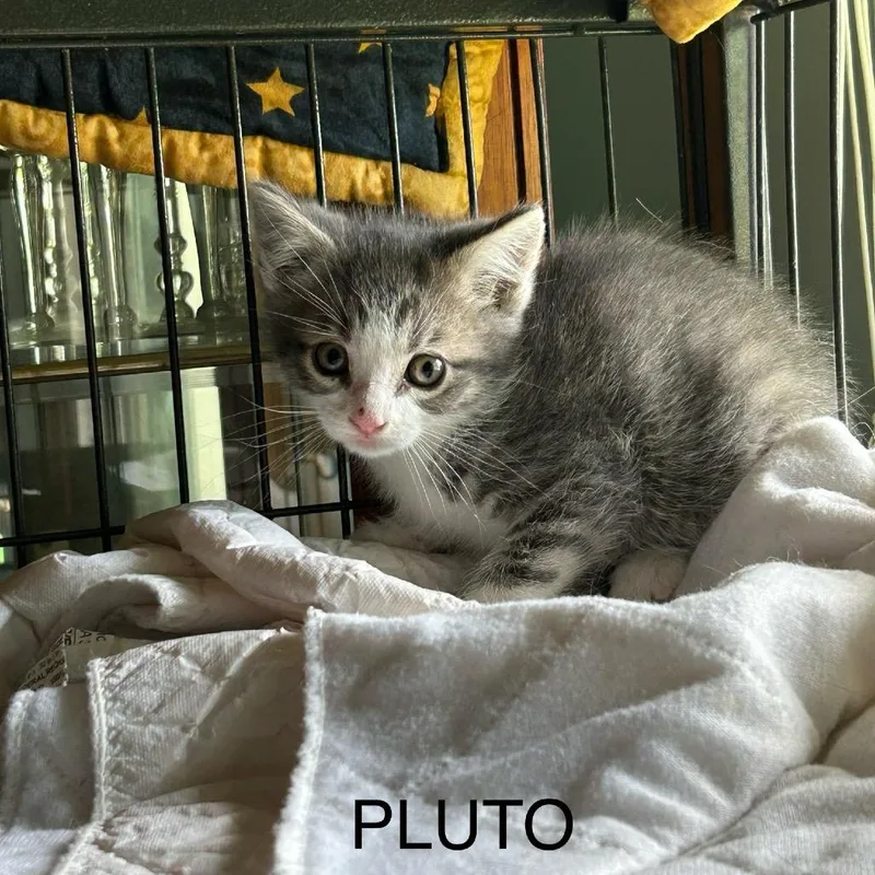 Pluto