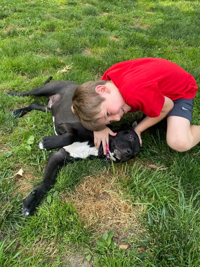 Young Man Sam thumbnail 2