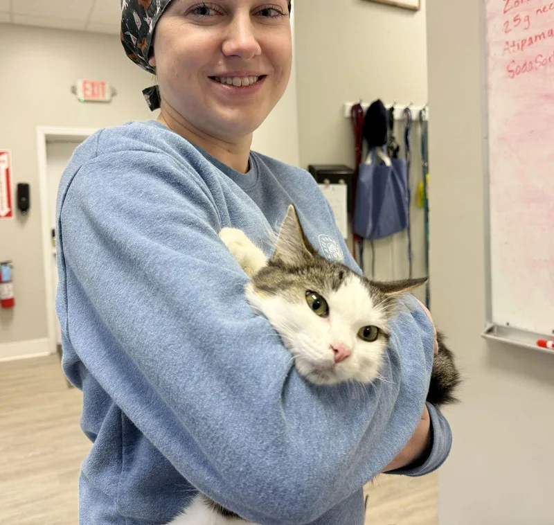 Princess Purrington thumbnail 2