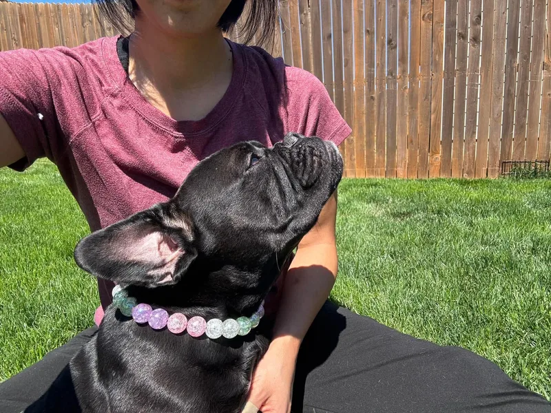Bella