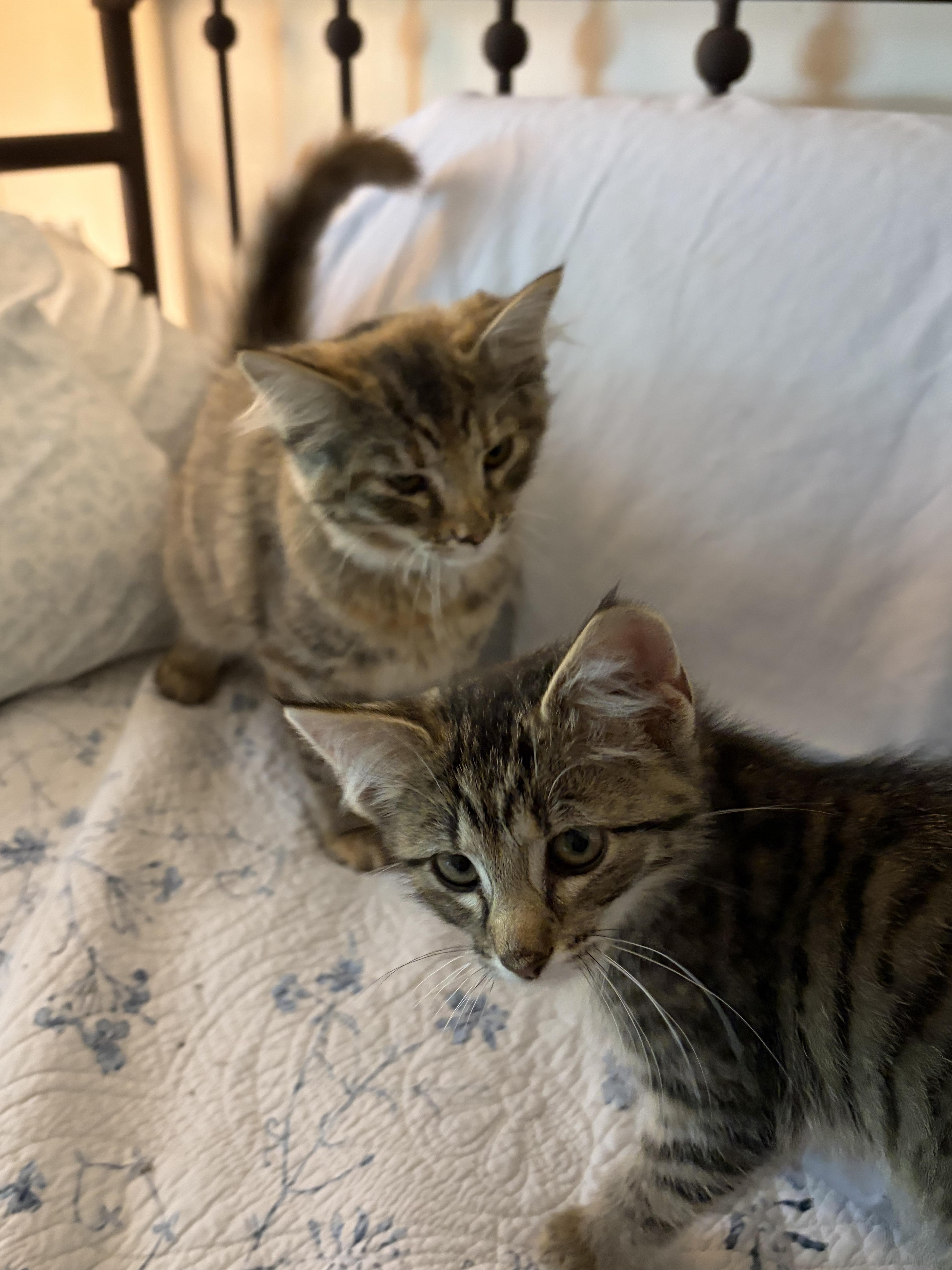 May and Tilly thumbnail 3