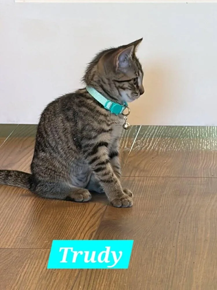 Trudy thumbnail 2