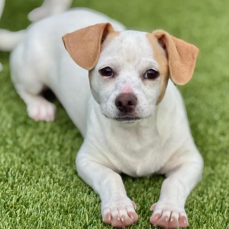 Tundra  My Mom thumbnail 4