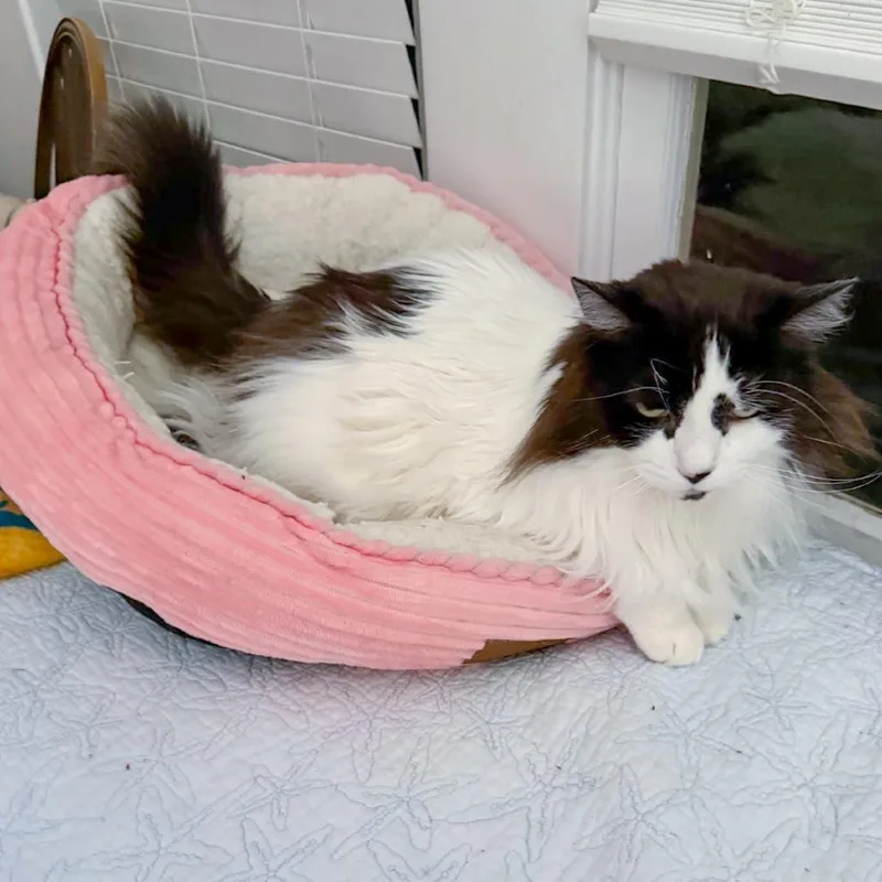 Sammy thumbnail 3
