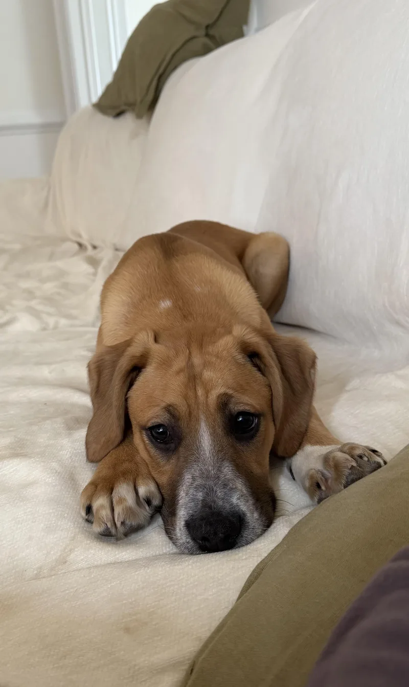 Lucy In The Sky thumbnail 2