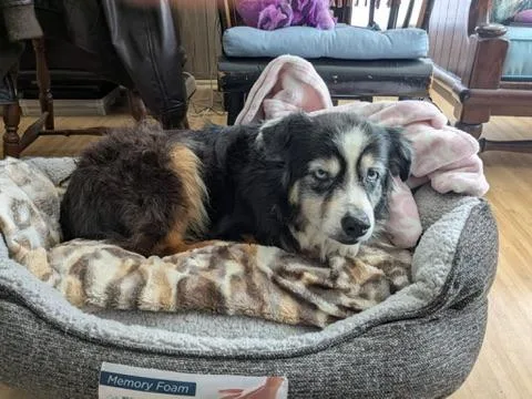 Skye