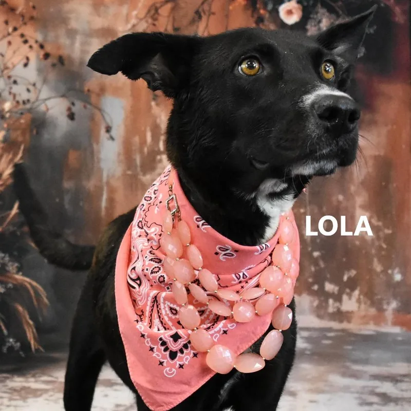 Lola