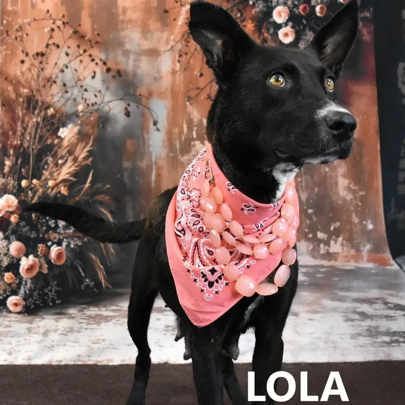 Lola thumbnail 2