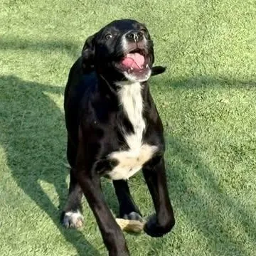 Wednesday thumbnail 2