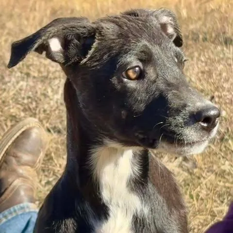 Wednesday thumbnail 4