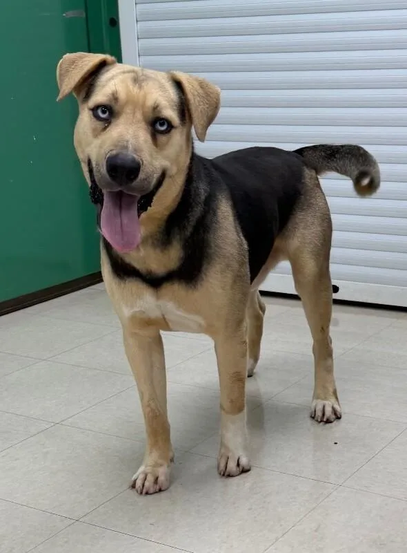 Harry Styles thumbnail 2