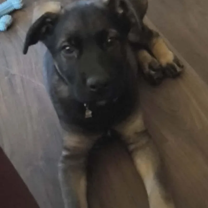 Loki thumbnail 2