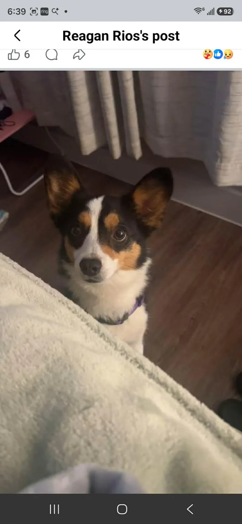 Sammy