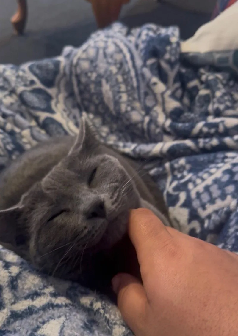 Naya