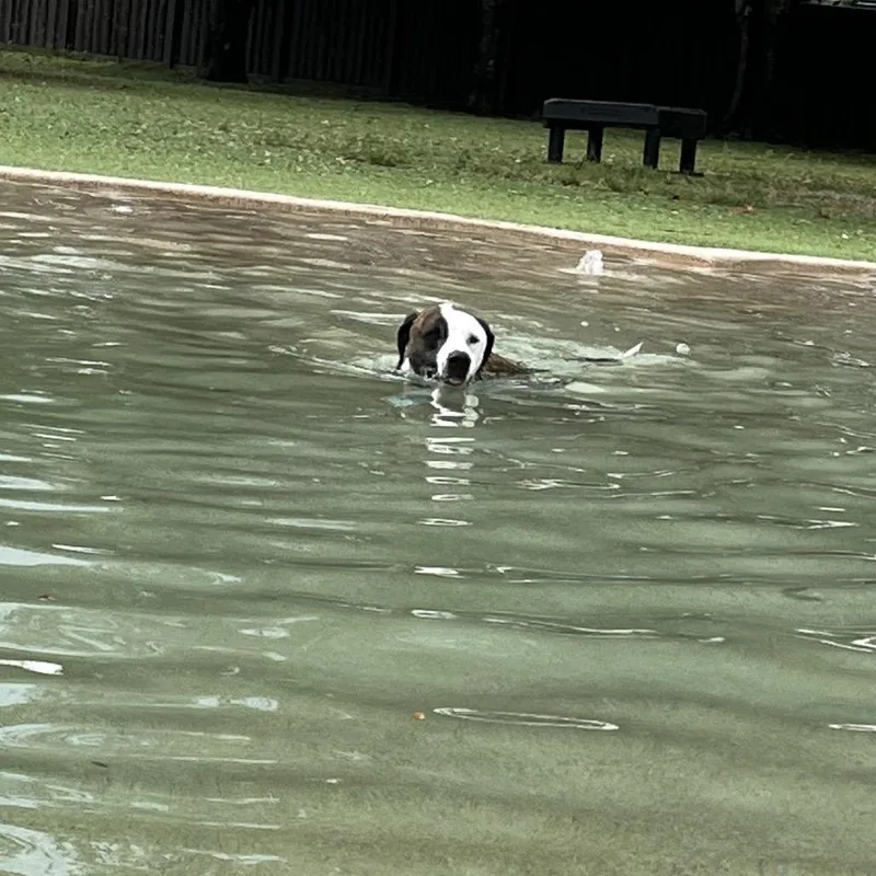 Maddox aka Madagascar thumbnail 2