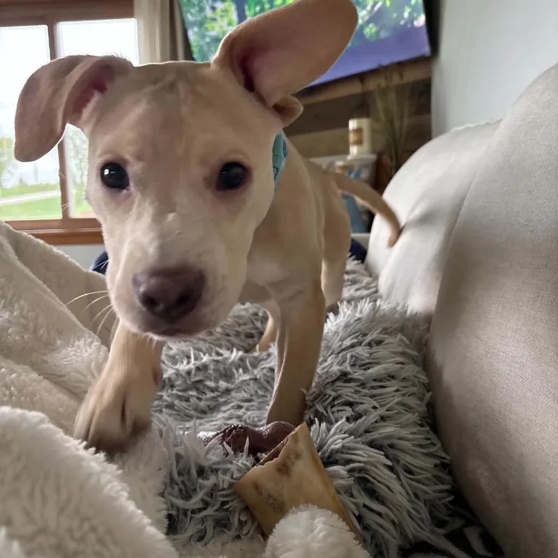 Missy thumbnail 3
