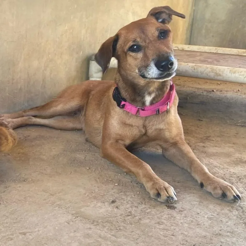 Venus Williams thumbnail 2