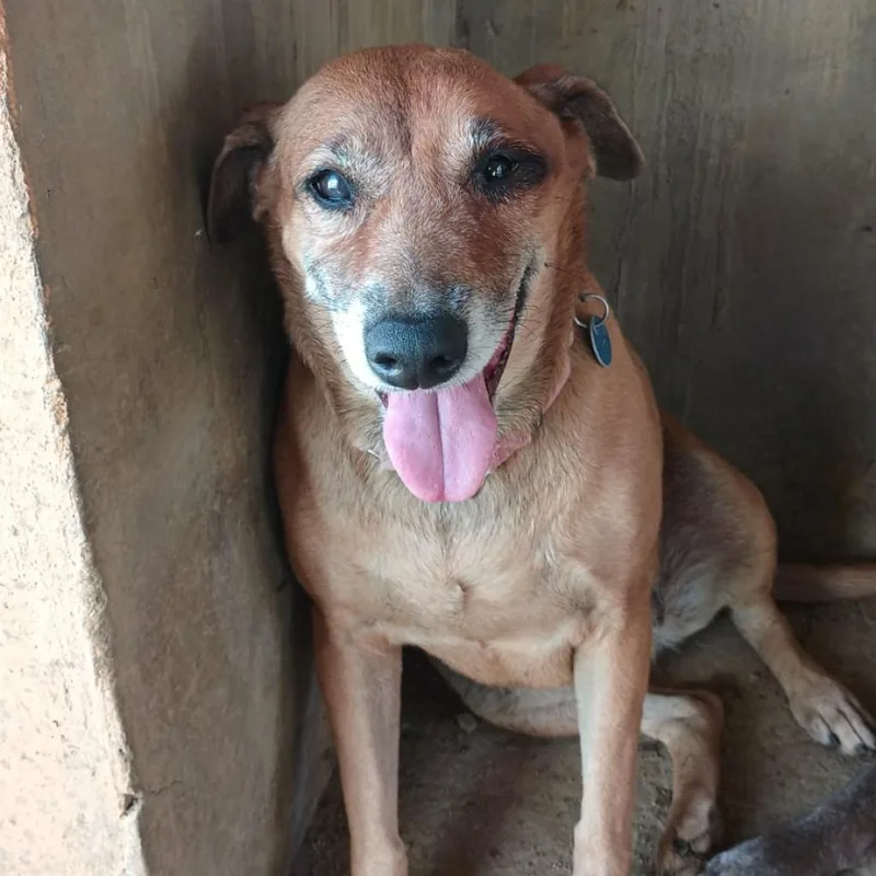 Venus Williams thumbnail 3