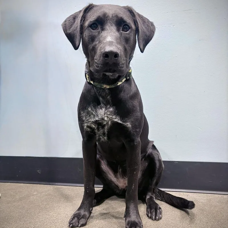 Gretchen thumbnail 2