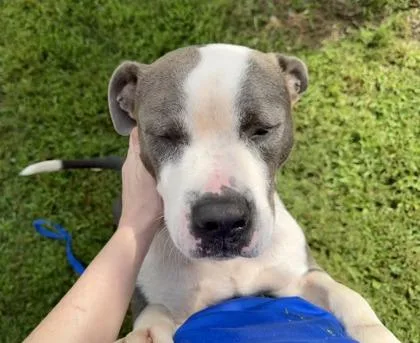 Coleman thumbnail 2