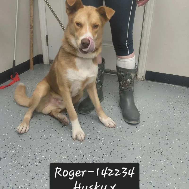 Roger