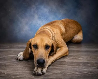 Skye