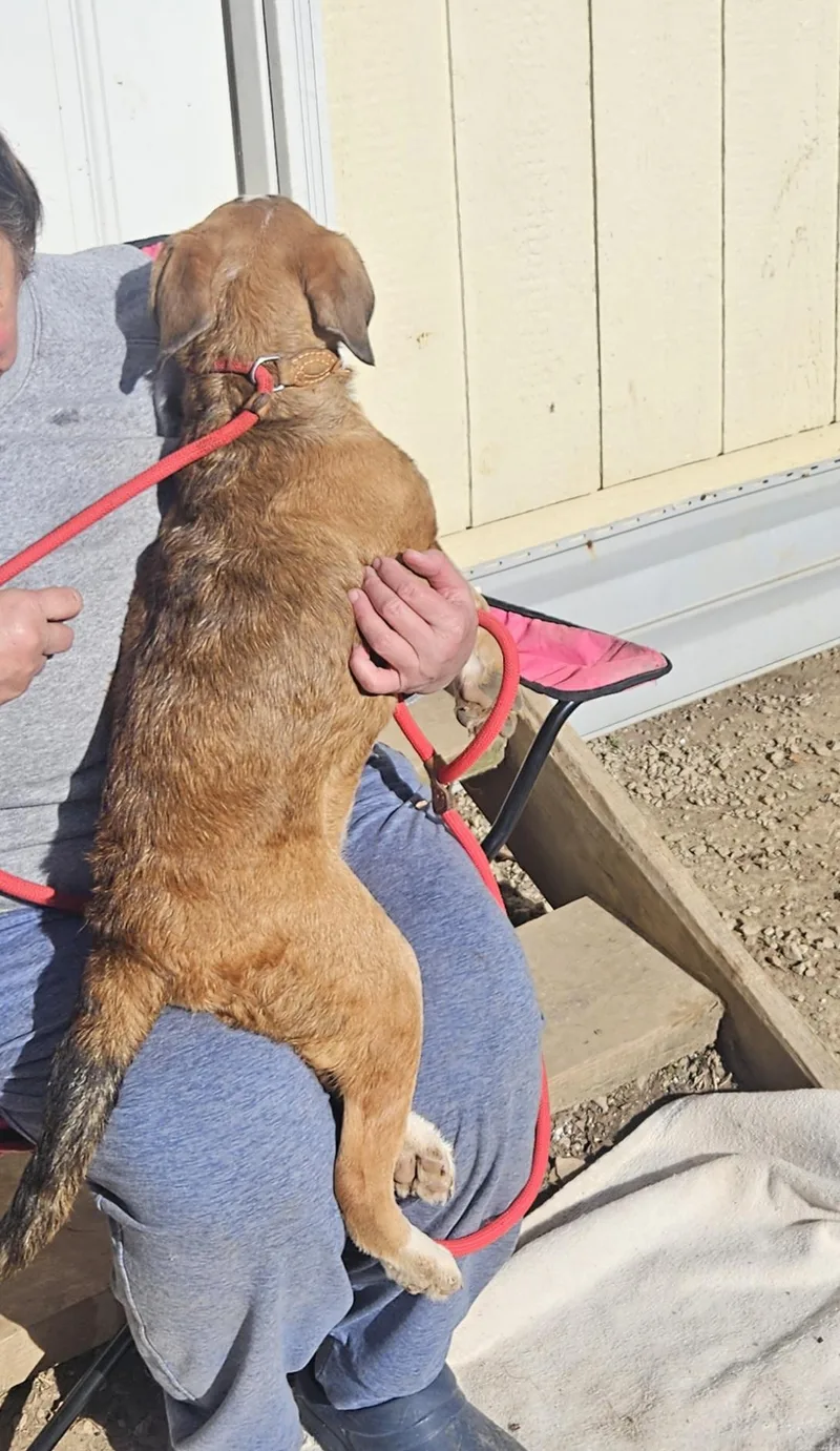 James  Come Meet thumbnail 3