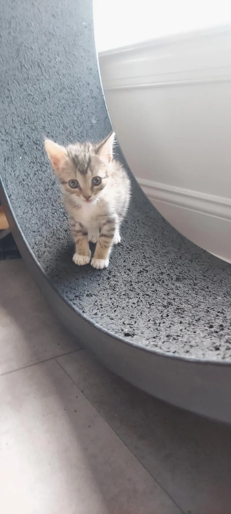 Eliot thumbnail 2