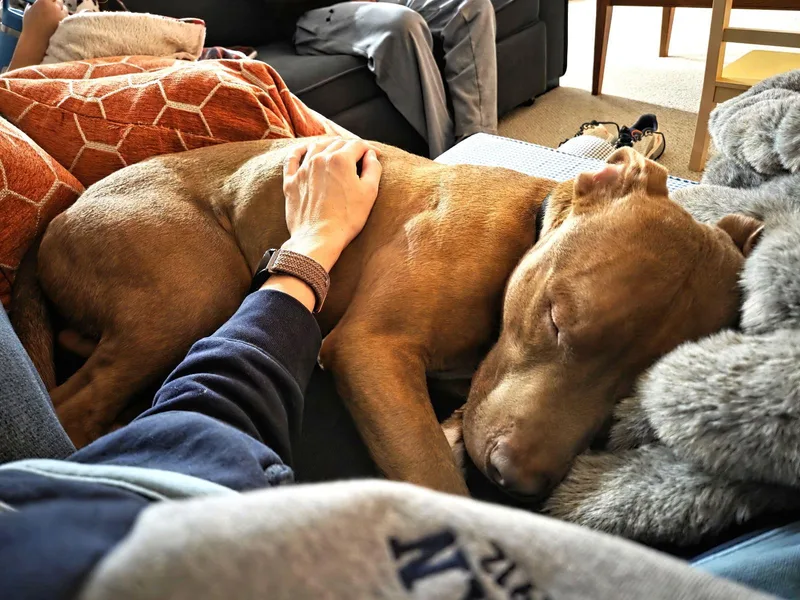 Macchiato thumbnail 2