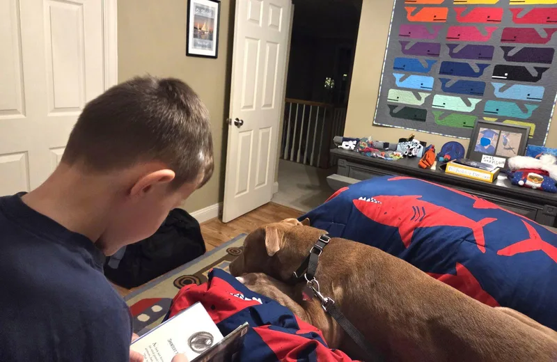 Macchiato thumbnail 3