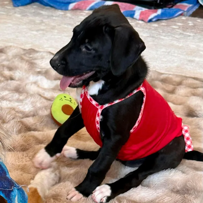 Rory thumbnail 2