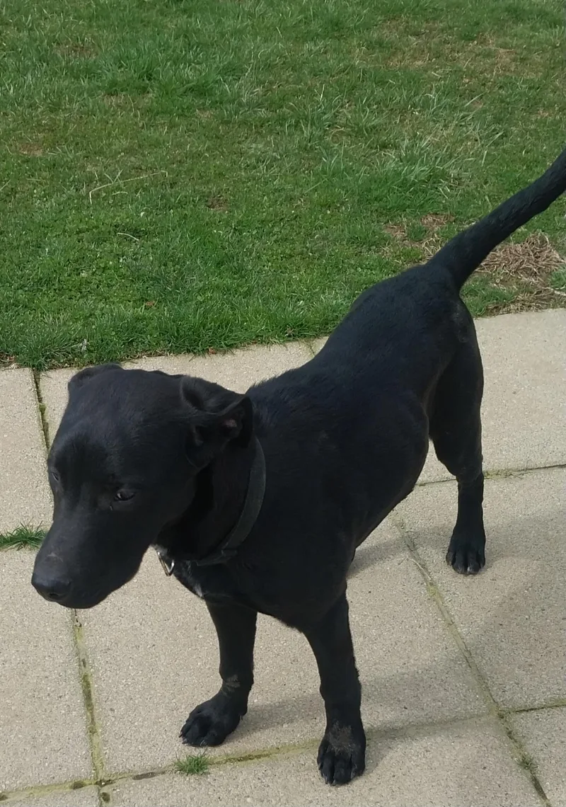 Jonah & Jobe thumbnail 2