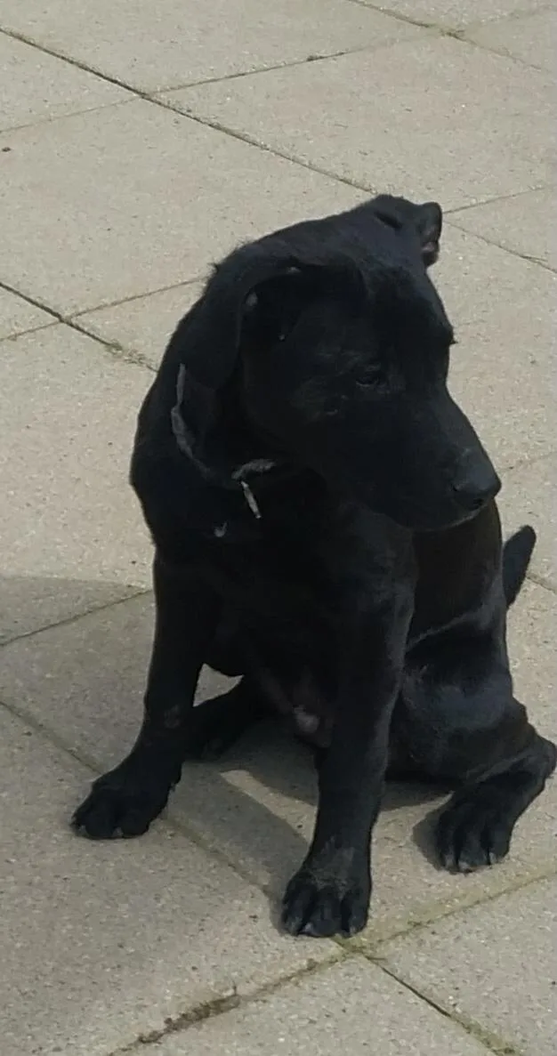 Jonah & Jobe thumbnail 3