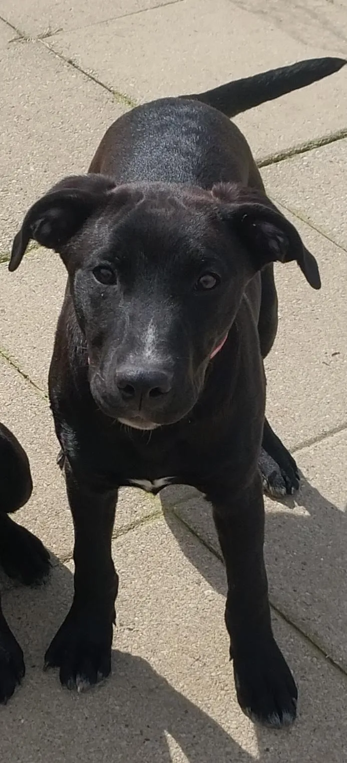 Jonah & Jobe thumbnail 4