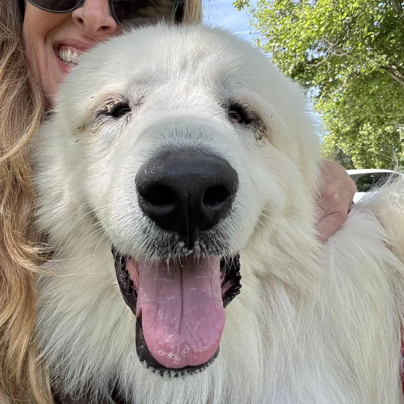 Thomas Franklin Noodlebaum thumbnail 3