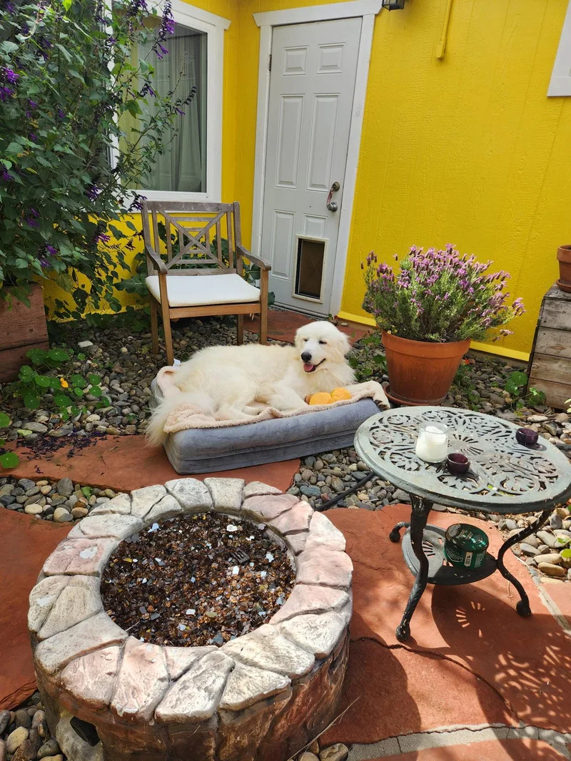 Thomas Franklin Noodlebaum