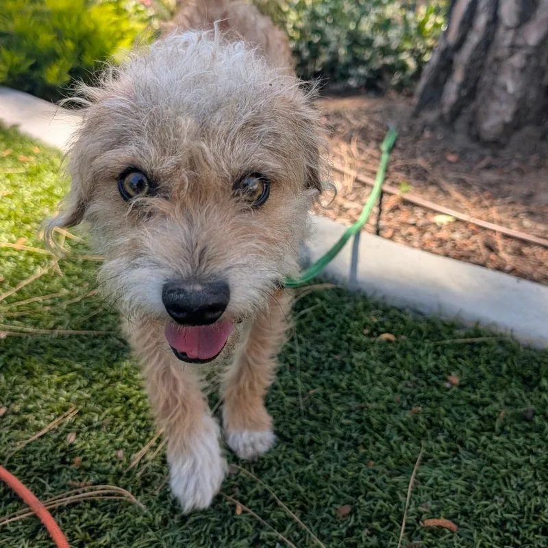 Marlowe City Of Industry thumbnail 2