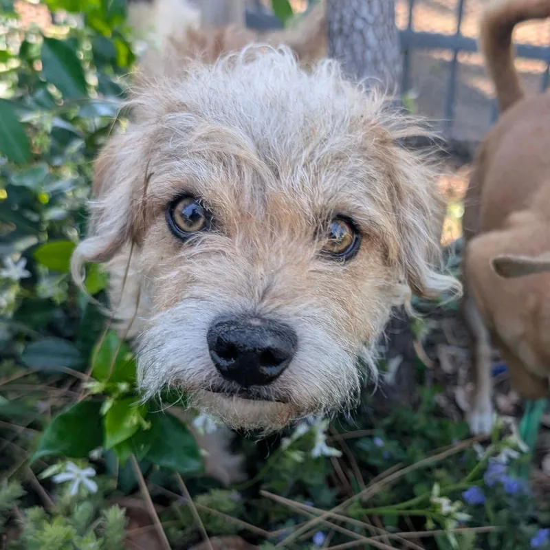 Marlowe City Of Industry thumbnail 3