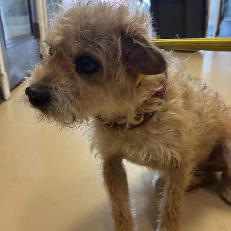 Marlowe City Of Industry thumbnail 4