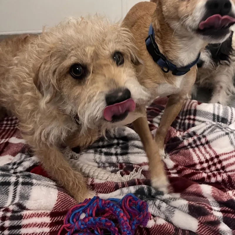 Marlowe City Of Industry thumbnail 5