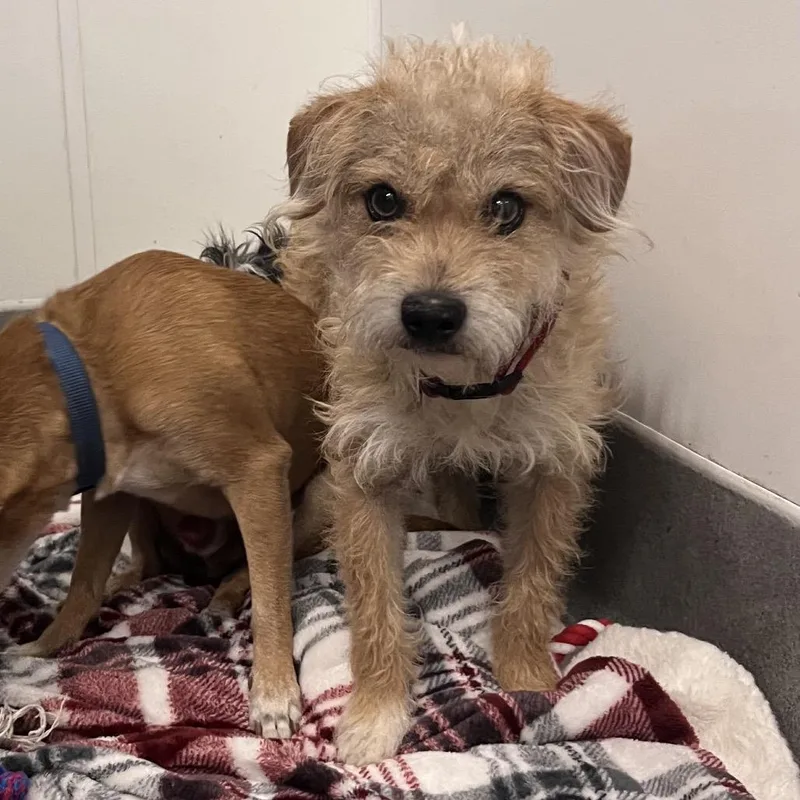 Marlowe City Of Industry thumbnail 6